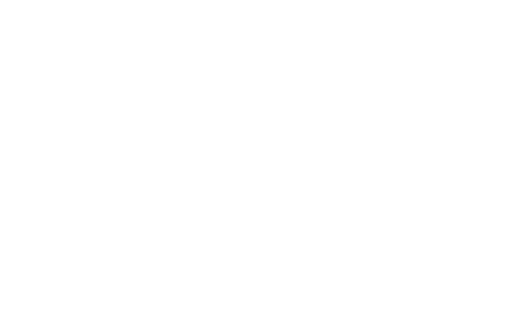 Endezzma logo
