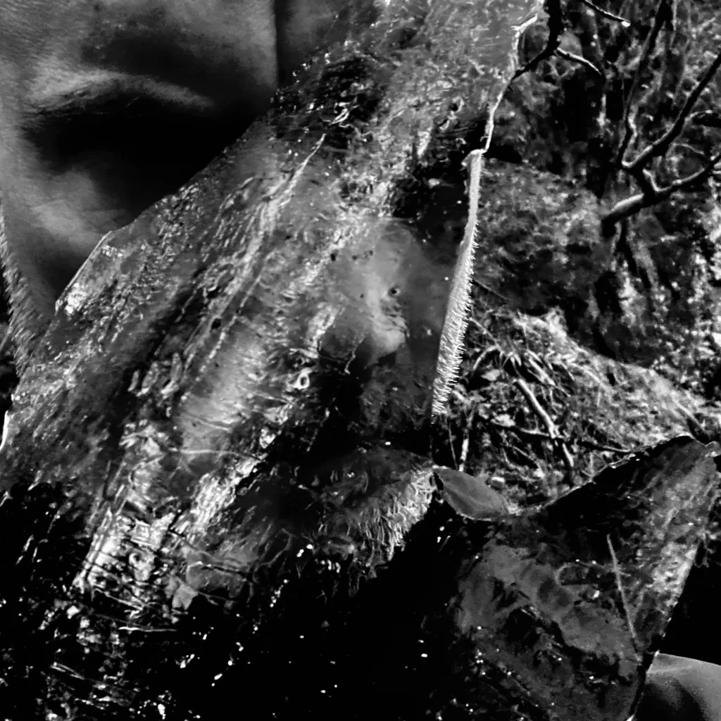 Home Dark Essence Records Taake - En Skog av Nidstang cover